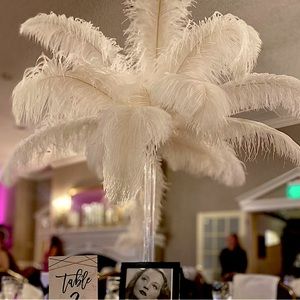 Ostrich Feathers Bulk - 24pcs 10-12inch Boho Feathers Wedding Party Centerpieces